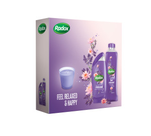 9125006 Radox feel_relaxed_happy_xmas_box