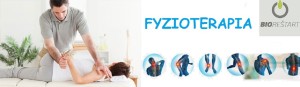 physiotherapists