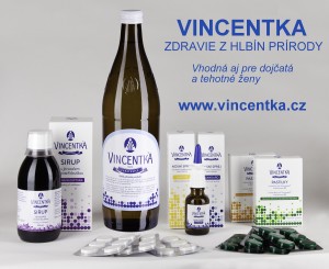 Vincentka-grafika-dojcata-r